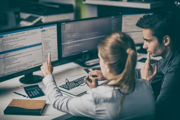 Two IT professionals working on a computer