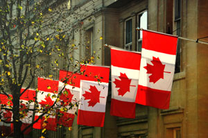 Canadian flags fluttering in front of parliament building 