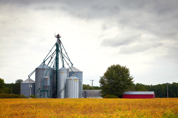 A farm in Ontario, Canada