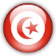 tunisianbride