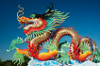 Chinese Dragon for the New Year