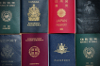 International Passports