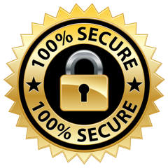 Encrypted secured form