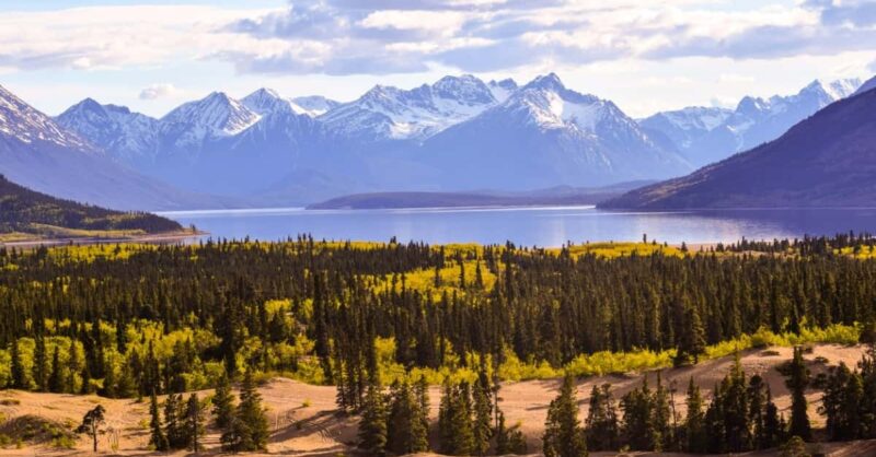 Canada settlement services annoucement