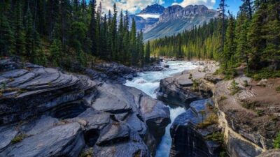 Canadanewprioritiesimmigration