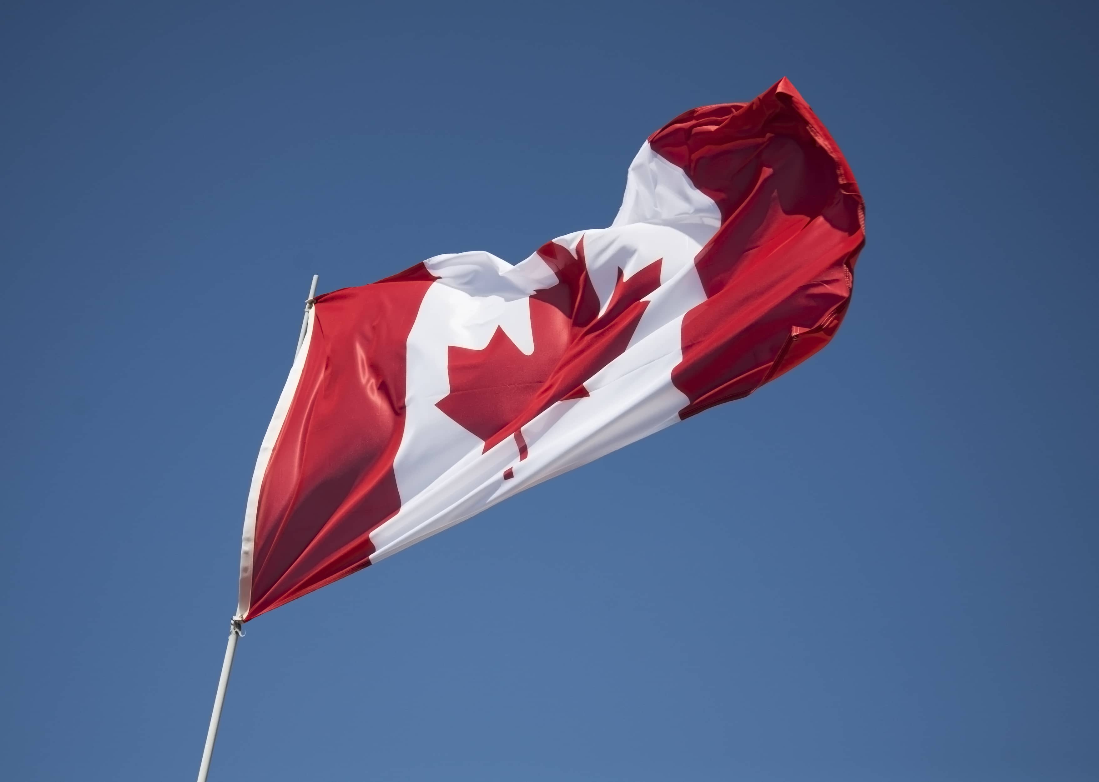 A Canadian flag fluttering against a clear blue sky.