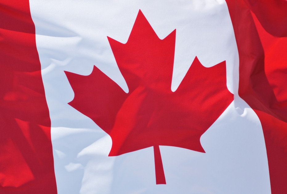 The Government of Canada issued 3,900 ITAs for Canadian permanent residence on January 10.