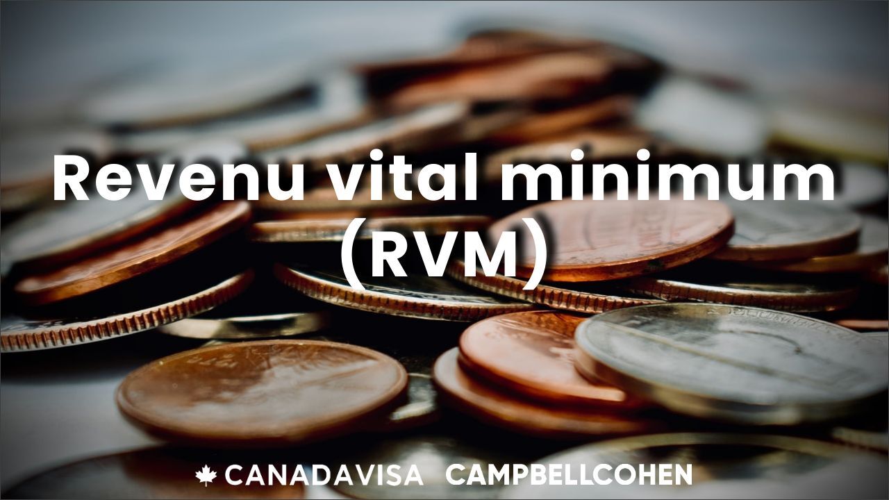 Revenu vital minimum RVM FR