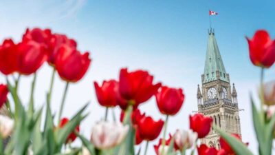 Canadas new immigration streams for essential workers and graduates has launched