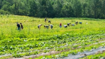 Farming qc canada