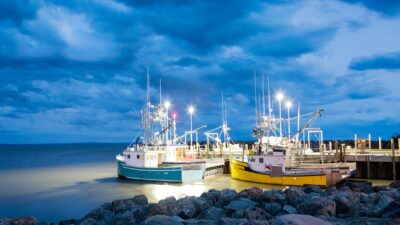 Fishing boats in the bay of fundy