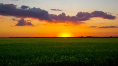 Manitoba prairie