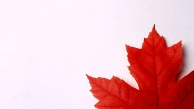 Maple leaf canada