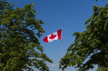 A Canadian flag flying among trees