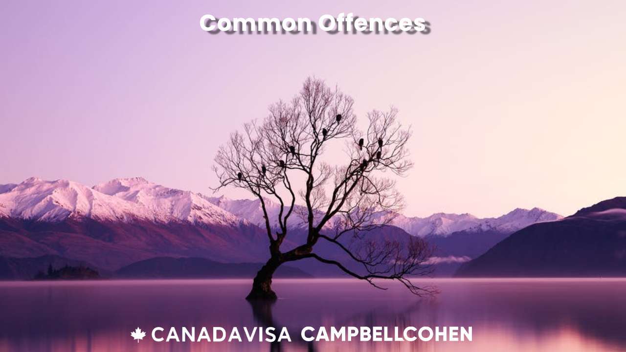 common offences and how to overcome inadmissibility to canada
