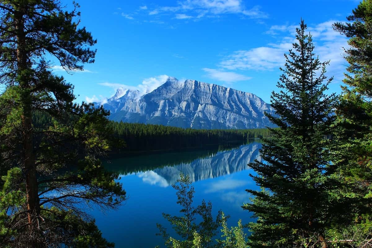 How to be eligible for Canada's FSWP program
