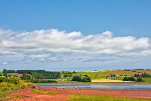 Prince Edward Island landscape