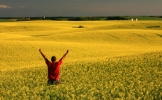 Saskatchewan Saskatchewan