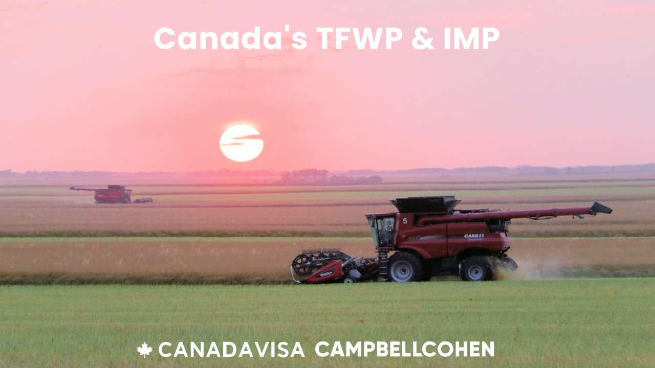 How to work in Canada under the temporary foreign worker program (tfwp)